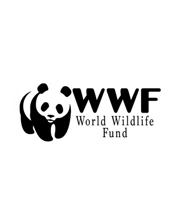 WWF Pc