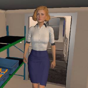 Cabin Crew Life Simulator - Agent de bord