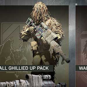 Armes à feu et amoteurs à saisir