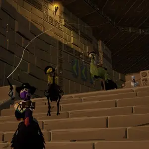 Camelbirds - Escaliers