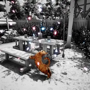 Cat Me If You Can - Chat Orange