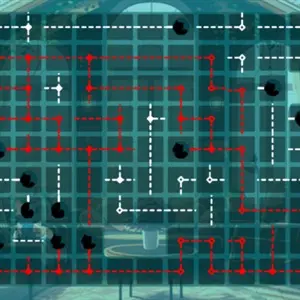 Cat Pipes - Niveau Difficile