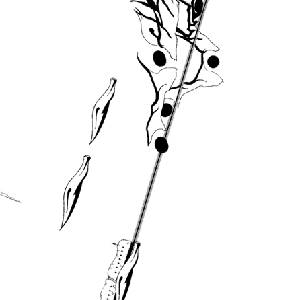 Chasing Light - Monde Intérieur