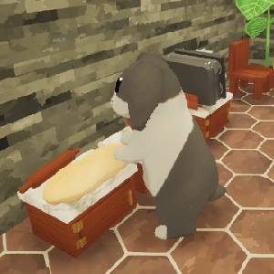 Cinnabunny - Formes Autorisées