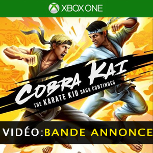 Cobra Kai The Karate Kid Saga Continues Vidéo de la bande annonce
