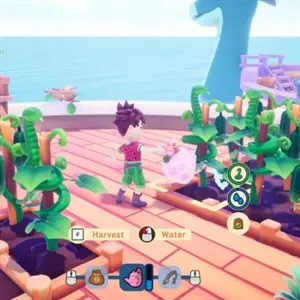 Collector's Cove - Eau