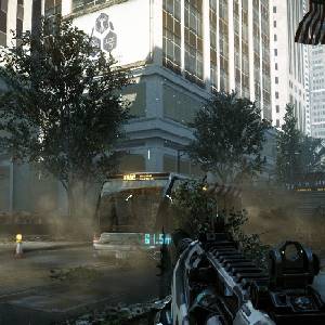 Crysis 2 - Fusil Feline