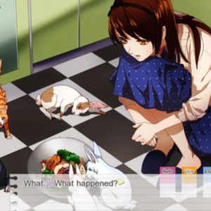 Dandelion Wishes Brought to You Gameplay