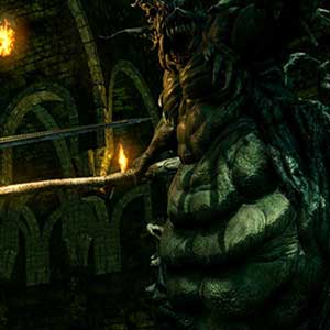 Explorez le monde complexe