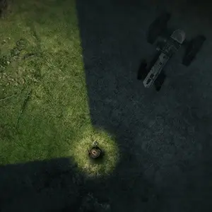 Darkwood Ruines