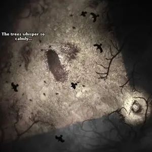Darkwood Tombe Ouverte