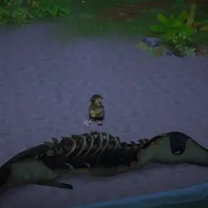 DAVE THE DIVER In the Jungle - Squelette marin