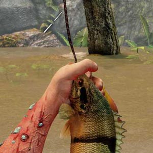 Day One Garrys Incident Pêche