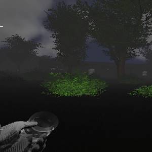 Deadly Forest Beta - Arbustes