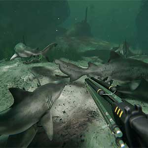Death in the Water 2 - Requins de Mer