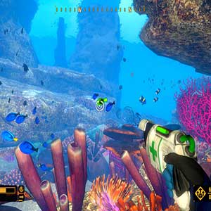 exploration relaxante