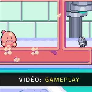 Dimensional Animals - Gameplay