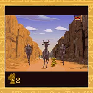 transition to maturity