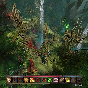 Divinity Original Sin The Source Saga Forêt