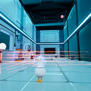 Dodo Duckie - Grilles Laser