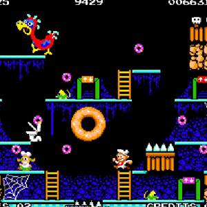 Donut Dodo - Échelle