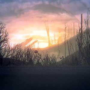 un style artistique sombre et granuleux