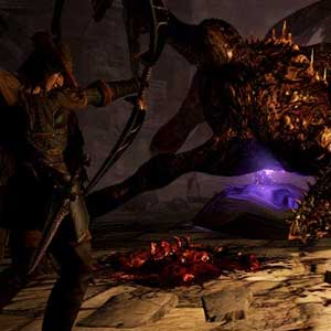 Dragons Dogma Dark Arisen Combat