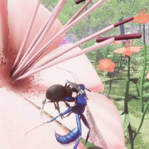 Drunk On Nectar – Dauber de Boue Bleue