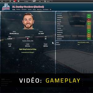 Eastside Hockey Manager - Gameplay
