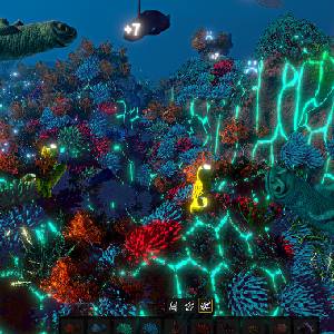 Ecosystem - Corail Solaire