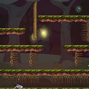 une expérience unique