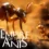 Regardez la superbe bande-annonce UE5 d’Empire of the Ants