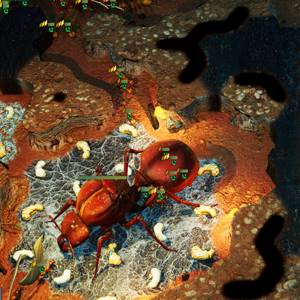 Empires of the Undergrowth Reine Fourmi