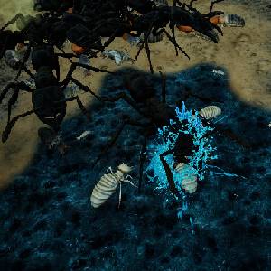Empires of the Undergrowth Exploding Ants - Écrasé