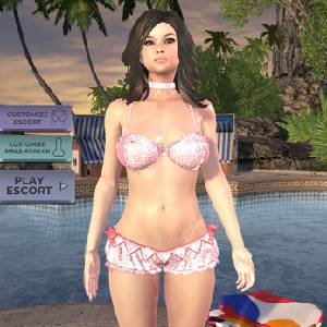 Escort Simulator 2 Pc