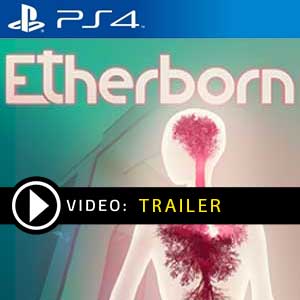 Etherborn PS4 en boîte ou à télécharger