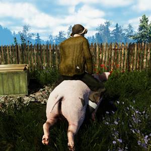 Farmer’s Life - Duveuteux