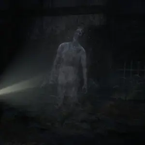 FATAL FRAME II: Crimson Butterfly REMAKE - Esprit