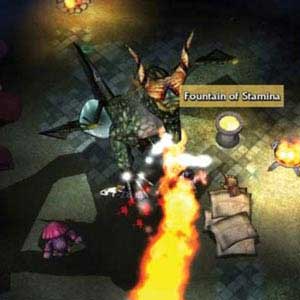 FATE Fontaine de Stamina