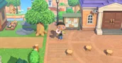 Animal Crossing 3.0.3 Corrige l'Interface et l'Objet Anniversaire