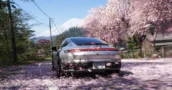 Fuite de Forza Horizon 6 sur Steam : Pourquoi éviter la Version Pirate