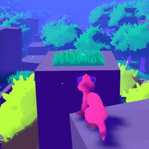 Fech The Ferret - Vue sur la forêt