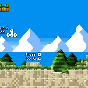 Feral Flowers Début