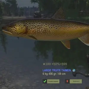 Fisher Online - Truite Taïmen