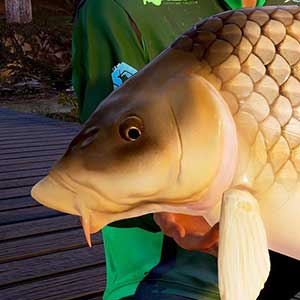 La plus grosse prise