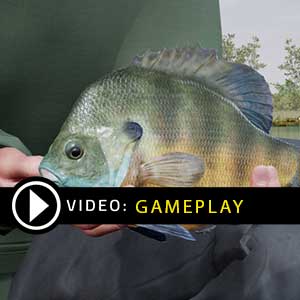 Fishing Sim World Quad Lake Pass Gameplay Video