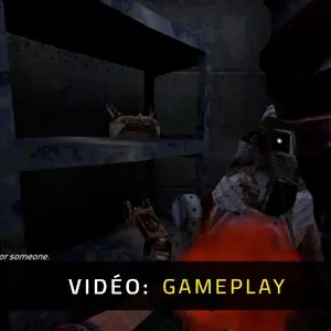 FLAW - Gameplay
