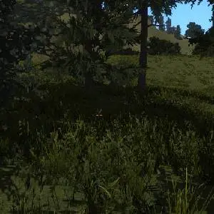 Fleeting Ages - Verdure