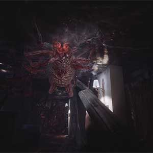 FOBIA St Dinfna Hotel - Patron de L'araignée