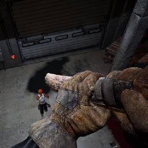 Forest Hills The Last Year - Arme